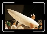 l autre defile 050 * 3504 x 2336 * (3.2MB)